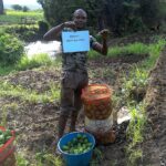 Look at all those Peppers!
